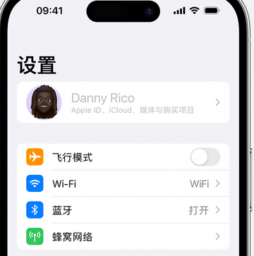 水富appleID维修服务iPhone设置中Apple ID显示为灰色无法使用 