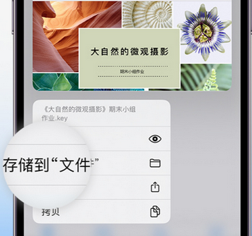 水富apple维修中心分享iPhone文件应用中存储和找到下载文件