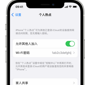 水富apple服务站点分享iPhone上个人热点丢失了怎么办 