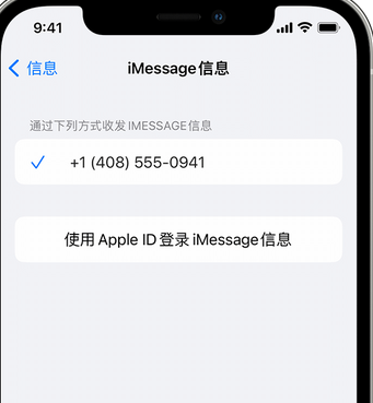 水富apple维修iPhone上无法正常发送iMessage信息 