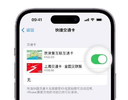 水富apple维修点分享iPhone上更换Apple Pay快捷交通卡手绘卡面 