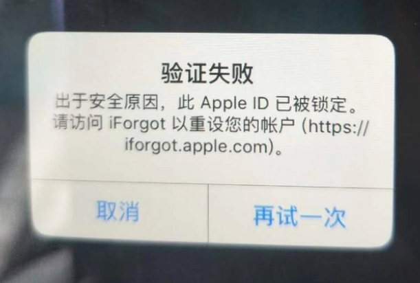 水富iPhone维修分享iPhone上正常登录或使用AppleID怎么办 