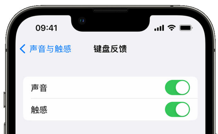 水富苹果手机维修分享iPhone 14触感键盘使用方法 