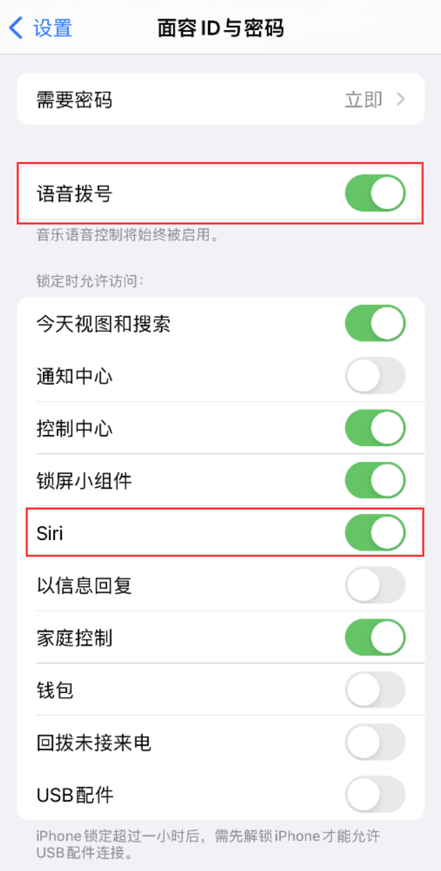 水富苹果维修网点分享不解锁 iPhone 的情况下通过 Siri 拨打电话的方法 