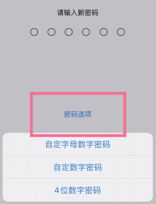 水富苹果14维修分享iPhone 14plus设置密码的方法 