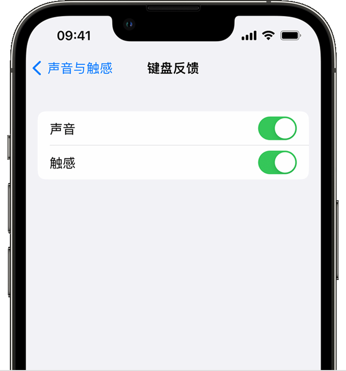 水富苹果14维修分享iPhone 14 系列机型如何开启键盘声音或触感反馈 