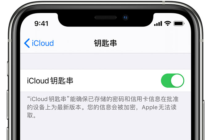 水富苹果手机维修分享在 iPhone 上开启 iCloud 钥匙串之后会储存哪些信息 