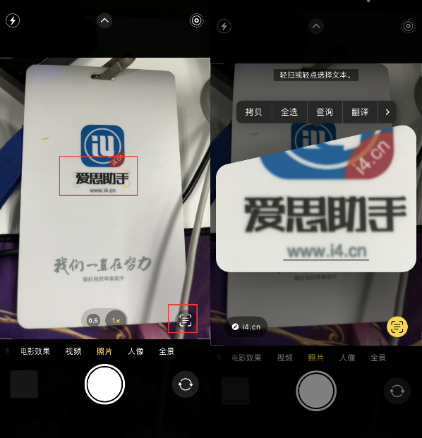 水富苹果手机维修分享升级iOS 16后如何通过相机翻译文本 