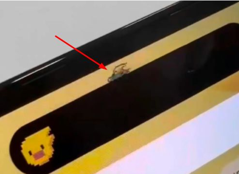 水富苹果14维修分享iPhone 14 Pro Max灵动岛怎么养宠物 