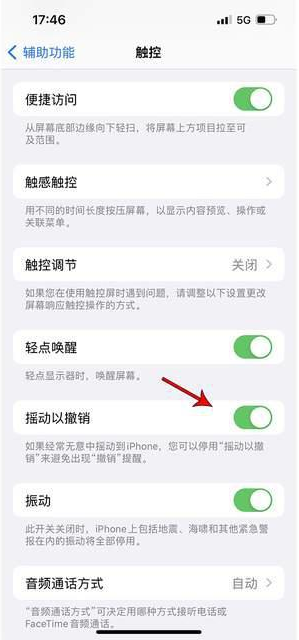 水富苹果手机维修分享iPhone手机如何设置摇一摇删除文字 